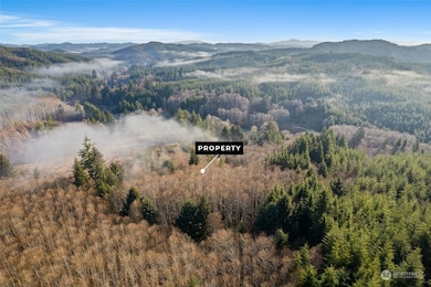 295 Butte Creek Rd, Raymond, WA 98577 - photo 6