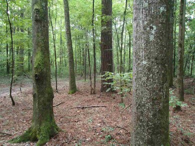 0 Highway 472 unit 1321431, Georgetown, MS 39078 - photo 5