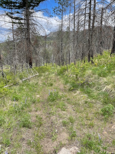 960X Knox Rd, Riverside, WA 98849 - photo 3