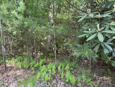 99999 Small Creek Rd unit 4, Brevard, NC 28712 - photo 5