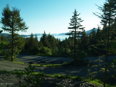 103 Cabin Ridge Rd, Cordova, AK 99574 - photo 3