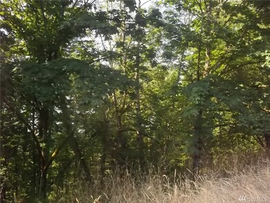 0 Spencer Rd unit 1180517, Salkum, WA 98564 - photo 7