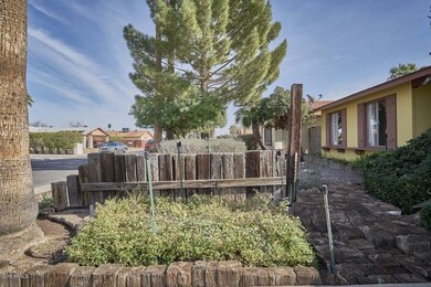 Front Yard-Planters