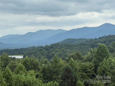 166 Coal Pit Mountain Dr unit 359, Nebo, NC 28761 - photo 2