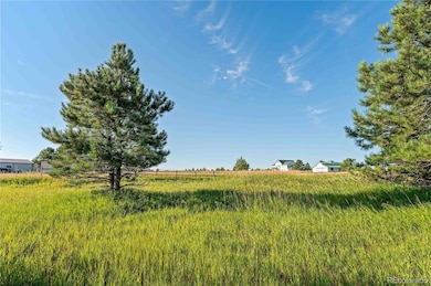 18150 Pinon Park Rd unit 199, Peyton, CO 80831 - photo 5