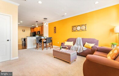 22705 Settlers Trail Terrace, Ashburn, VA 20148 - photo 4