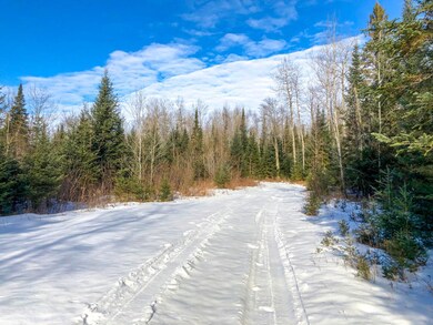 W8006 Cth Cc, Tomahawk, WI 54487 - photo 4