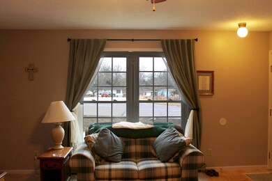 Living Room Window