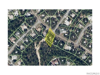 55 Village Center Dr, Homosassa, FL 34446 - photo 5