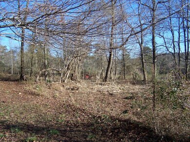 00 Luke Powell Rd NW, Dalton, GA 30720 - photo 6