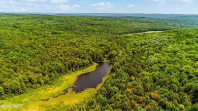 large-64c9a2b1-9b66-401a-9446-ebb45a9b3a