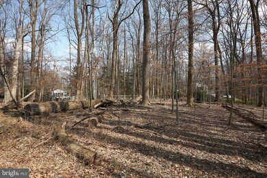 11001 Picasso Ln, Potomac, MD 20854 - photo 7