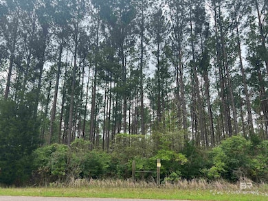 0 Bermuda Ln unit 4 372651, Seminole, AL 36574 - photo 2