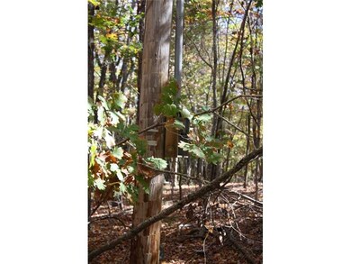 0 Madison 5540 unit 719940, Elkins, AR 72727 - photo 5