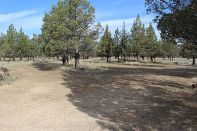 11800YuccaFlats004