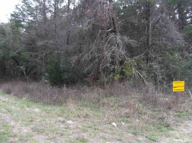 0 Seameadows Dr unit 316431, Perry, FL 32348 - photo 2
