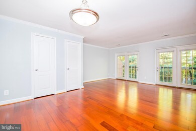 3838 Chesterwood Dr, Silver Spring, MD 20906 - photo 7