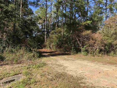 0 Magnolia Ridge unit 300029, Crawfordville, FL 32327 - photo 3