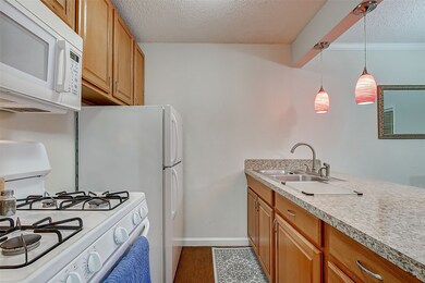 4727 W Alabama St unit 1102, Houston, TX 77027 - photo 4
