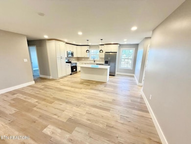 203 Mavis Ln, Maryville, TN 37804 - photo 7