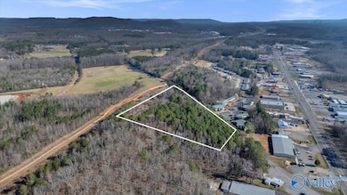 100 Stewart Rd, Scottsboro, AL 35769 - photo 4