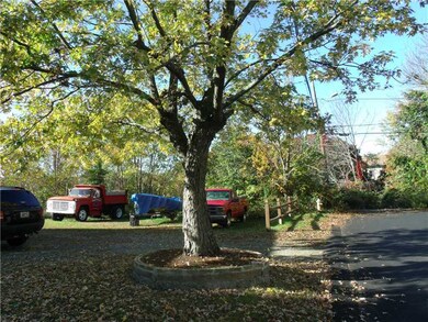 Yard/Garden.