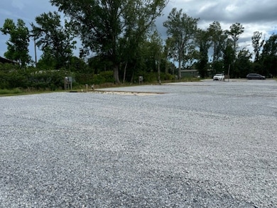 7226 Begonia St, Wewahitchka, FL 32465 - photo 2