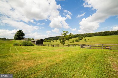 22463 Oatlands Rd, Aldie, VA 20105 - photo 7