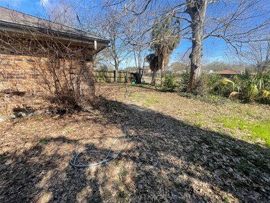 The backyard.