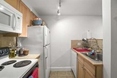 41 Haven St unit b6, Boston, MA 02118 - photo 7