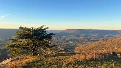 0 Tatum Gulf Rd unit 1524943, Menlo, GA 30731 - photo 3