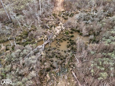 Hwy 13 Morton Ms, Morton, MS 39117 - photo 4