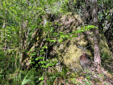 38.62 Granite Hill Rd, Grants Pass, OR 97526 - photo 5