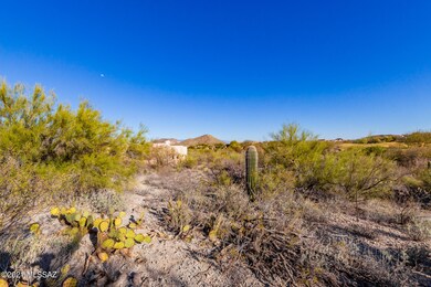 0005-Tohono Crossing 6