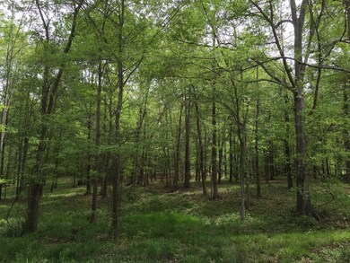 3.78 Ac Morningside Dr, Lincolnton, GA 30817 - photo 2