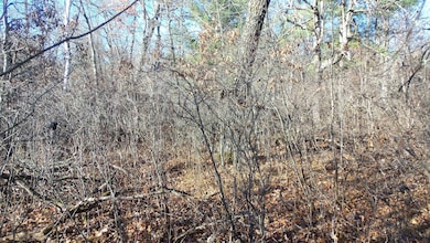 Lot 1 Ferry Rd, Grantsburg Township, WI 54840 - photo 6