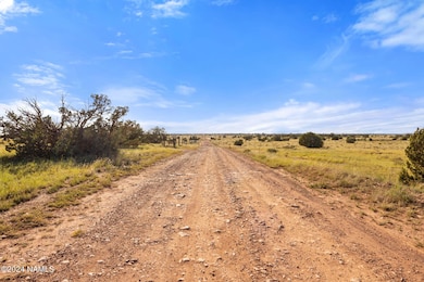 749 N Northland Rd unit C, Valle, AZ 86046 - photo 3