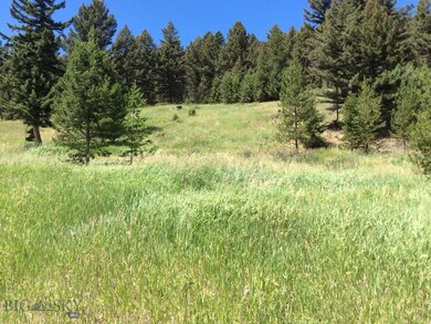 TBD Black Wolf Ridge, Big Sky, MT 59730 - photo 3