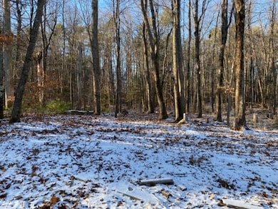 66 Verrill Rd, Pownal, ME 04069 - photo 5