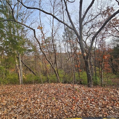 6900 Scenic View Dr, High Ridge Township, MO 63016 - photo 2