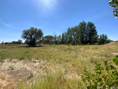 999 Lucas Rd, Fallon, NV 89406 - photo 4