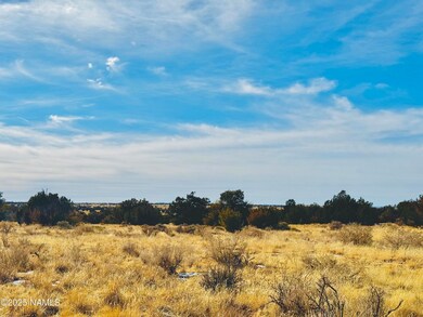 HWY 180 4 lots