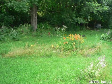 Yard/Garden
