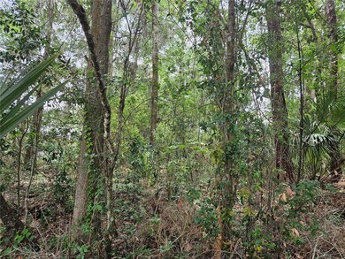 TBD SW 194th Ct unit LOT 37, Dunnellon, FL 34432 - photo 2