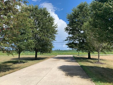 16935 Cromley Rd, Ashville, OH 43103 - photo 6