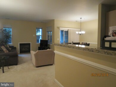 5001 Willow Branch Way unit 203, Owings Mills, MD 21117 - photo 2