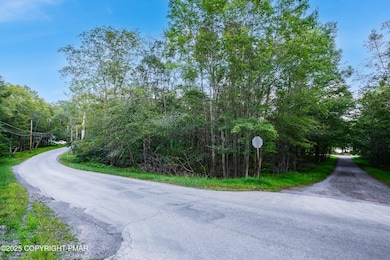 6 Orono Dr, Pocono Lake, PA 18347 - photo 4