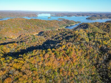 0 Rock Springs Rd unit RTC3049749, Celina, TN 38551 - photo 4