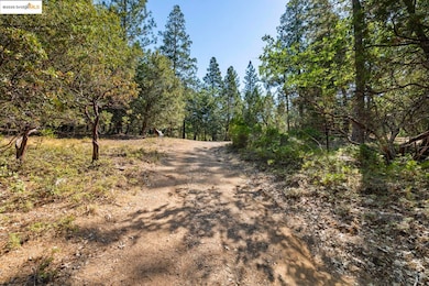 unlisted-address, Twain Harte, CA 95383 - photo 6