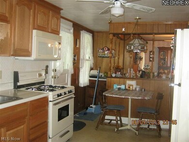 407 Vine St, Geneva, OH 44041 - photo 5